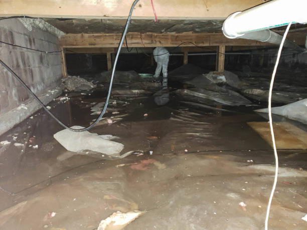 Best Carpet and Upholstery Water Damage Restoration in Phoenix Lake, CA